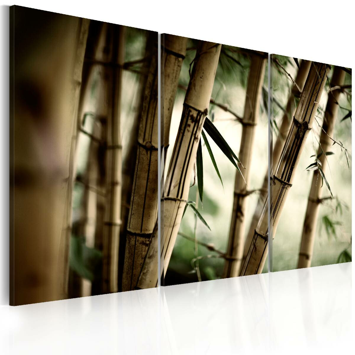 Canvas Taulu Artgeist In A Tropical Forest Eri Kokoja Taloon