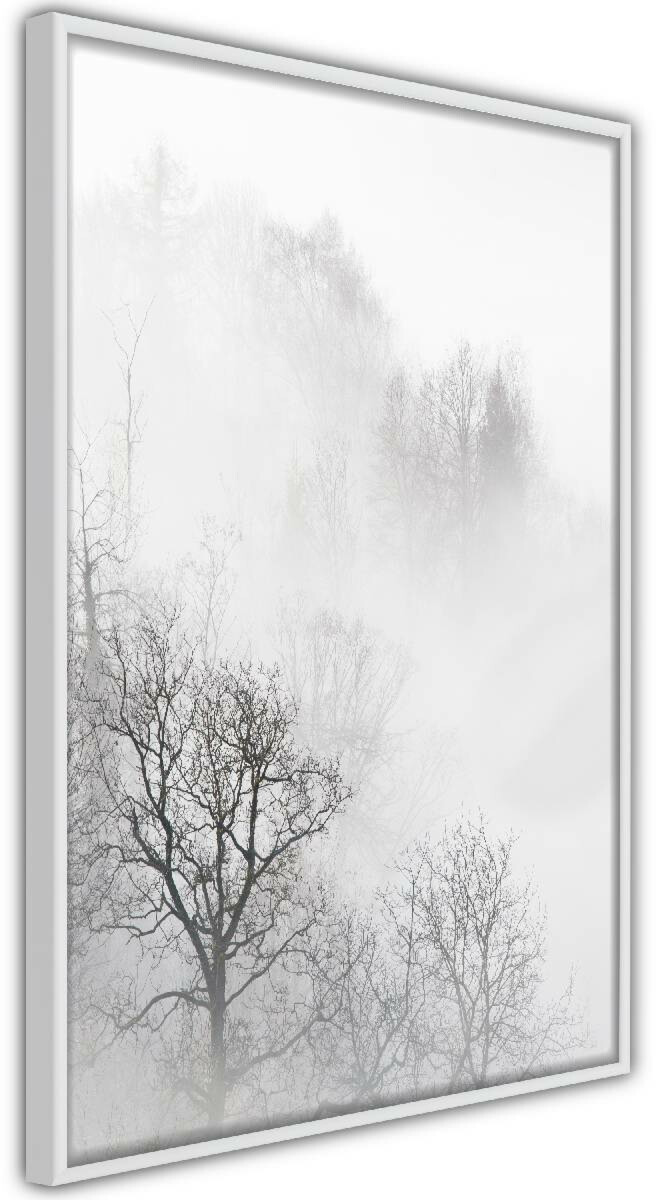 Black Friday Juliste Artgeist Trees In The Fog Kehyskartongilla