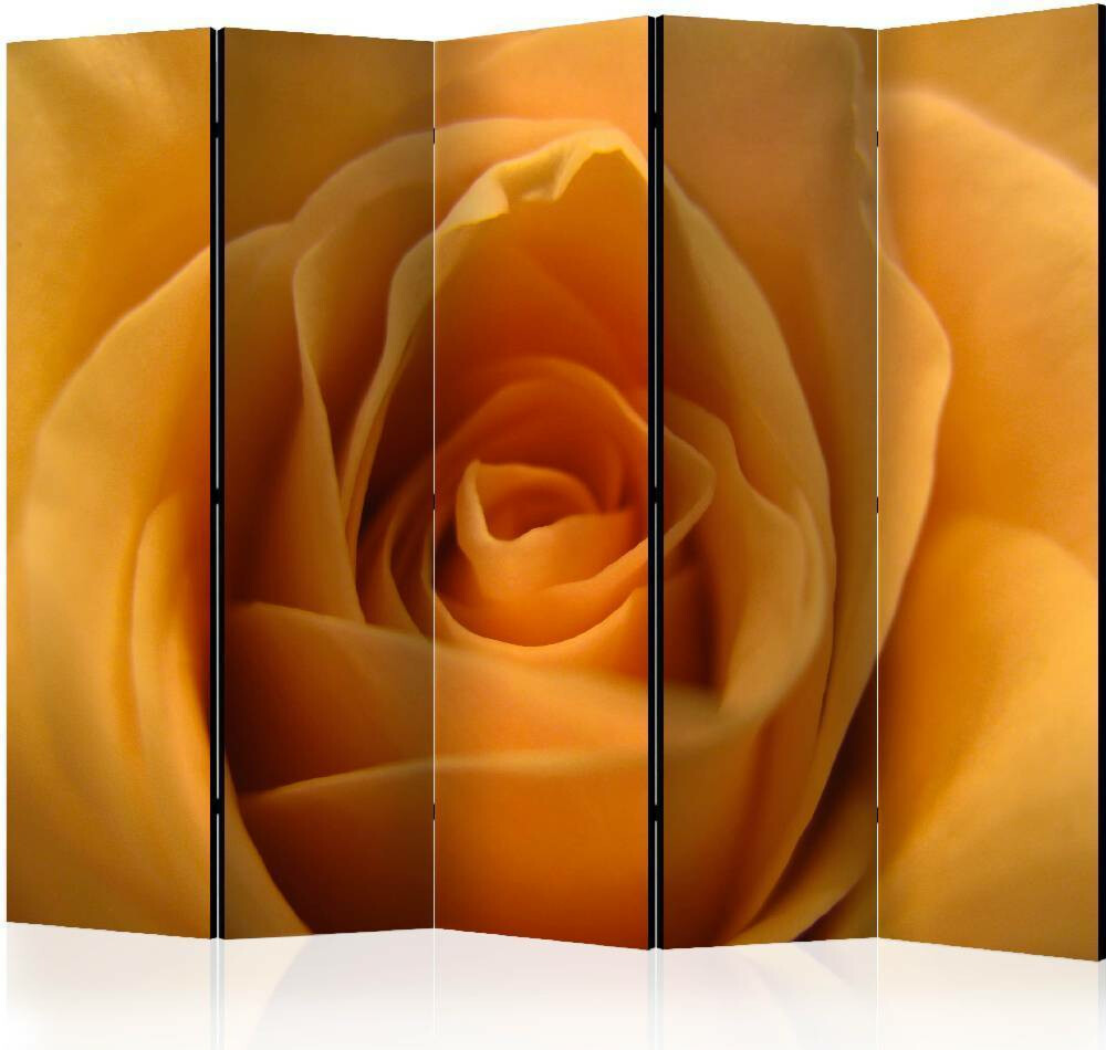 sermi-artgeist-yellow-rose-a-symbol-of-friendship-ii-225x172cm