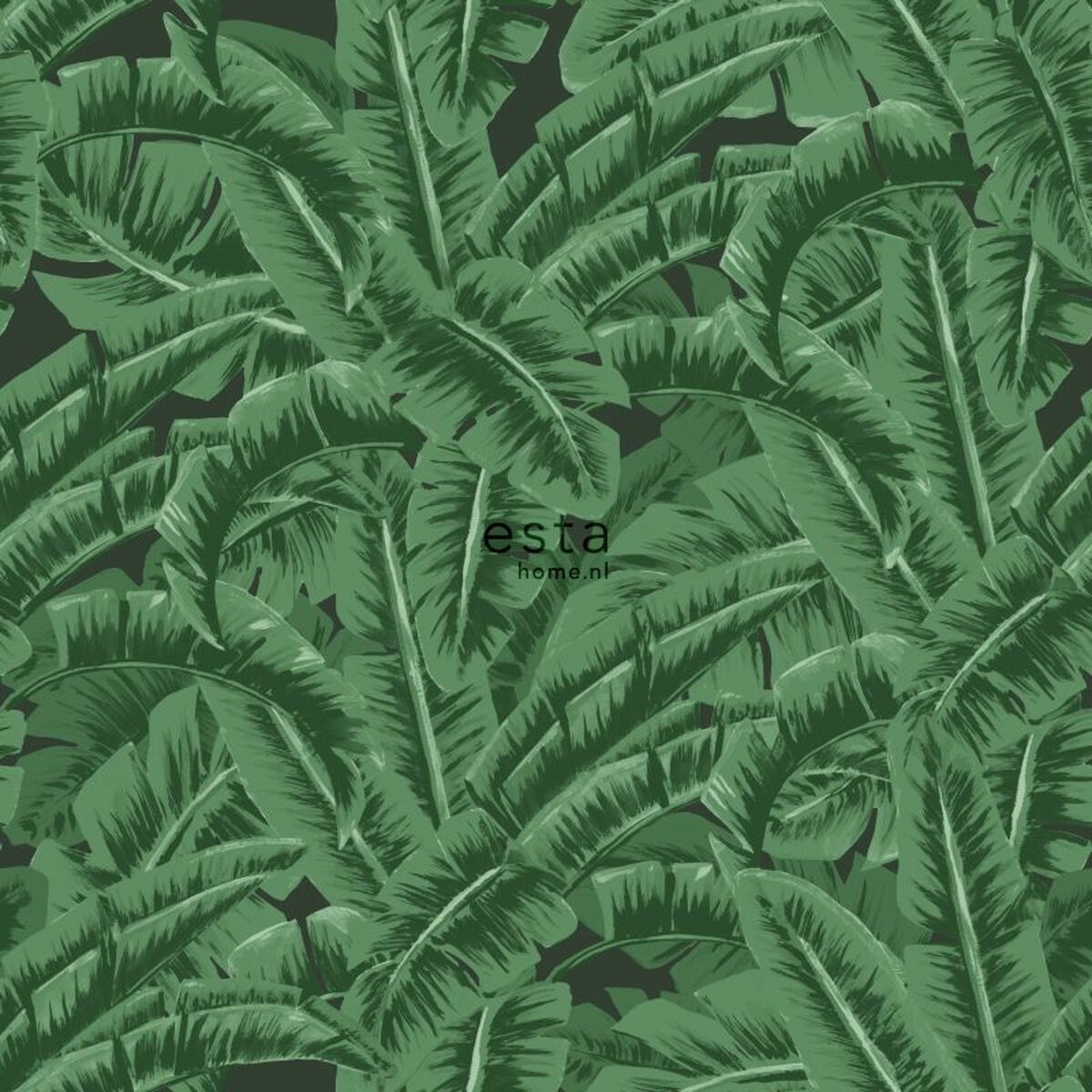 Tapetti ESTA Jungle Fever 138985  non-woven vihreä/musta |  