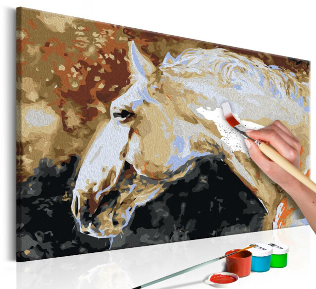 DIY-taulu Artgeist White Horse 40x60cm