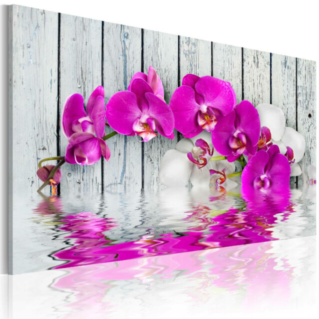 Taulu Artgeist Harmony: Orchid, 40x60cm