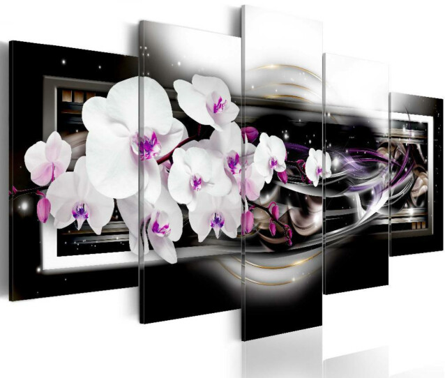 Taulu Artgeist Orchids on a black background eri kokoja