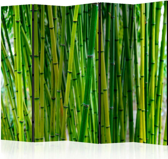 Sermi Artgeist Bamboo Forest II 225x172cm