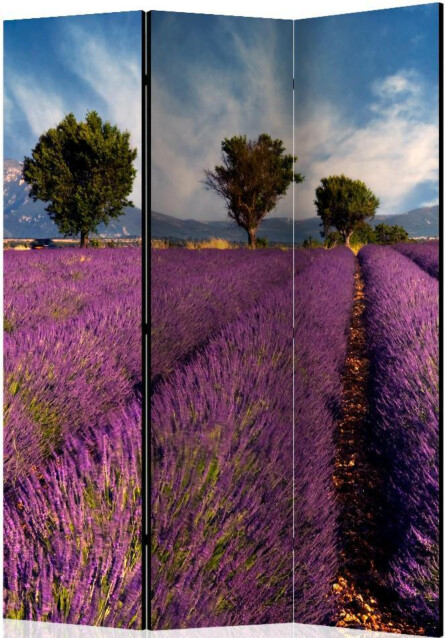 Sermi Artgeist Lavender field in Provence France 135x172cm