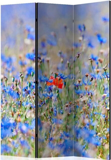 Sermi Artgeist A sky-colored meadow - cornflowers 135x172cm