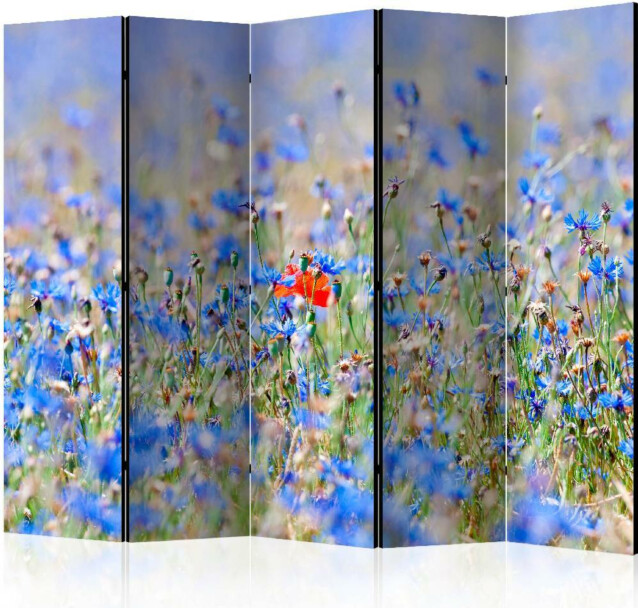 Sermi Artgeist A sky-colored meadow - cornflowers II 225x172cm