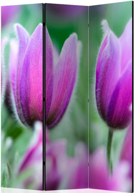 Sermi Artgeist Purple spring tulips 135x172cm