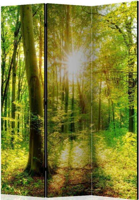 Sermi Artgeist Forest Rays 135x172cm