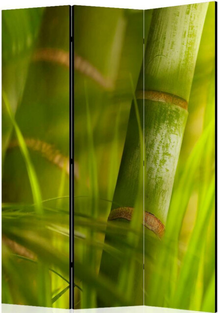 Sermi Artgeist bamboo - nature zen 135x172cm