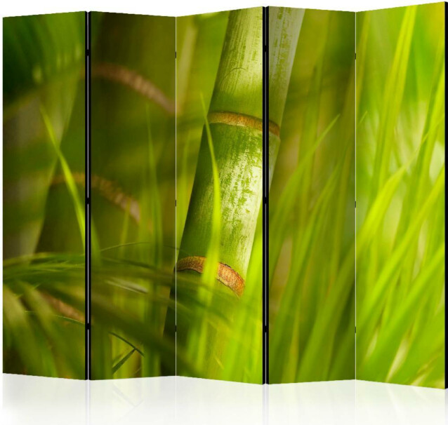 Sermi Artgeist bamboo - nature zen II 225x172cm