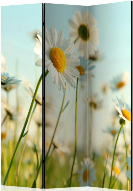 Sermi Artgeist Daisies - spring meadow II 135x172cm