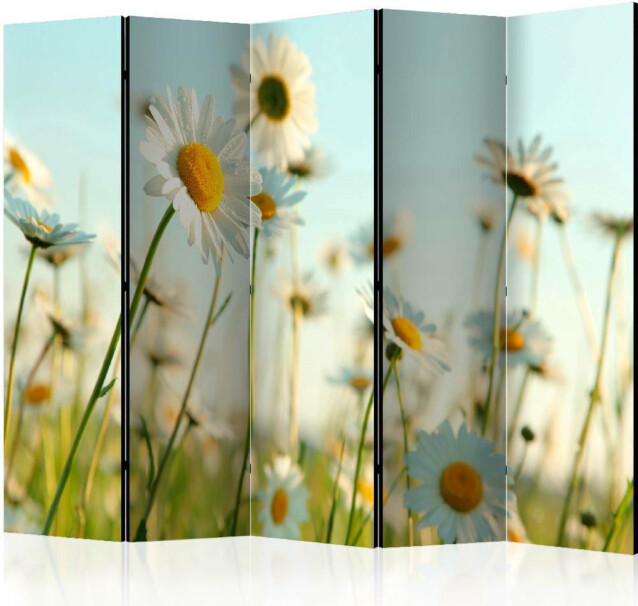 Sermi Artgeist Daisies - spring meadow II 225x172cm
