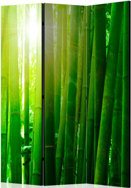 Sermi Artgeist Sun and bamboo 135x172cm