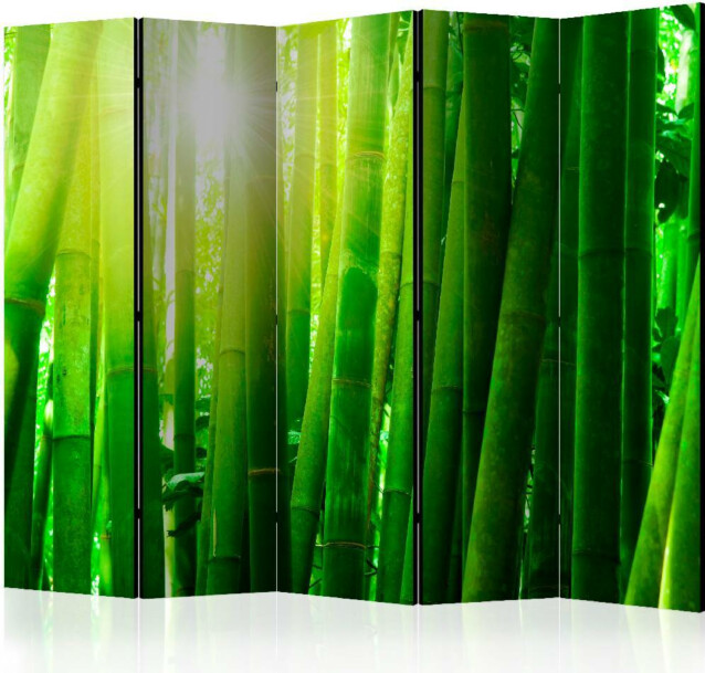 Sermi Artgeist Sun and bamboo 225x172cm