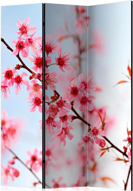 Sermi Artgeist Symbol of Japan - sakura flowers 135x172cm