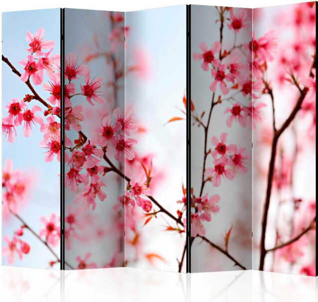 Sermi Artgeist Symbol of Japan - sakura flowers II 225x172cm