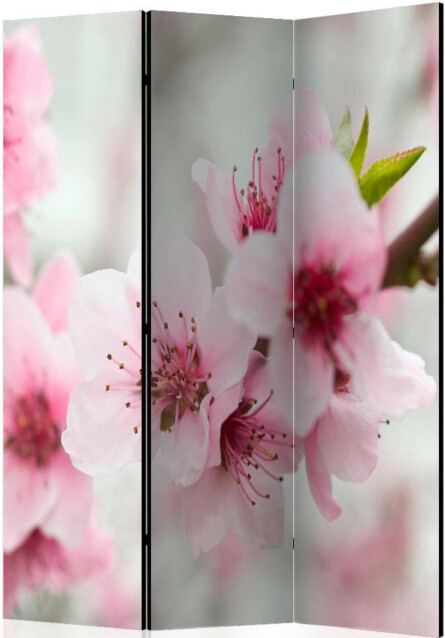 Sermi Artgeist Spring blooming tree - pink flowers 135x172cm