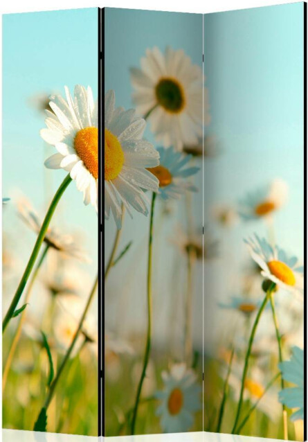 Sermi Artgeist Daisies - spring meadow 135x172cm