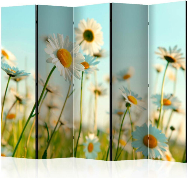 Sermi Artgeist Daisies - spring meadow 225x172cm