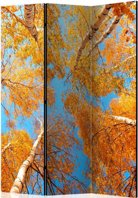 Sermi Artgeist Autumnal treetops 135x172cm