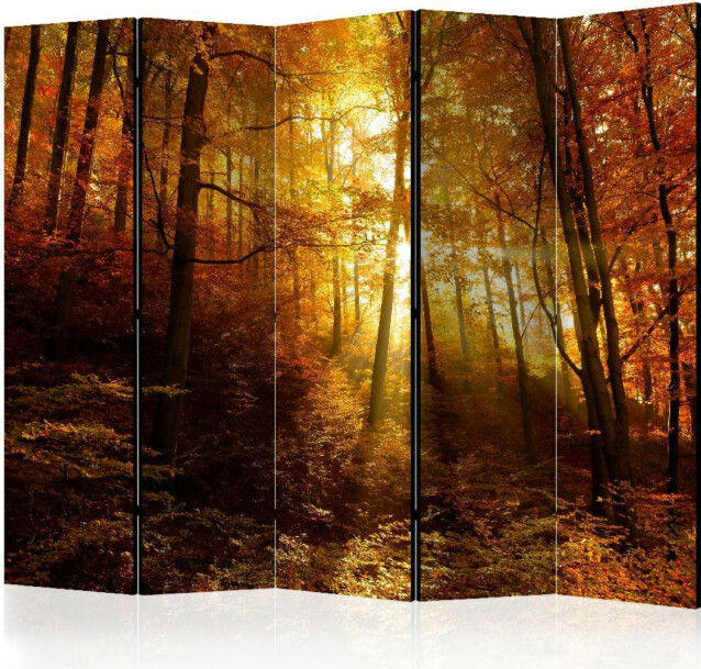 Sermi Artgeist Autumn Illumination II 225x172cm