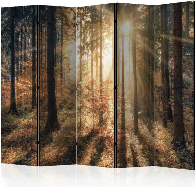 Sermi Artgeist Autumnal Forest 225x172cm