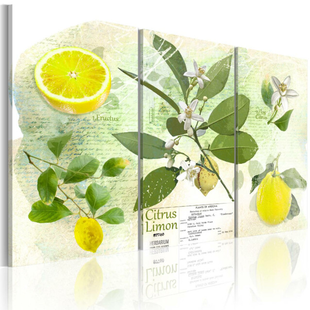 Taulu Artgeist Fruit: lemon, eri kokoja