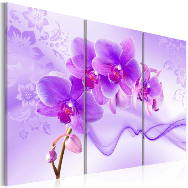 Taulu Artgeist Ethereal orchid - violet, eri kokoja