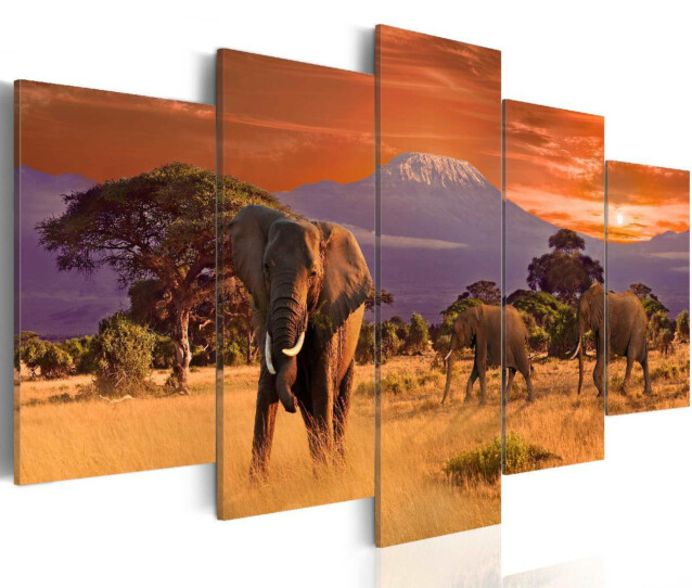 Taulu Artgeist Africa: Elephants, eri kokoja