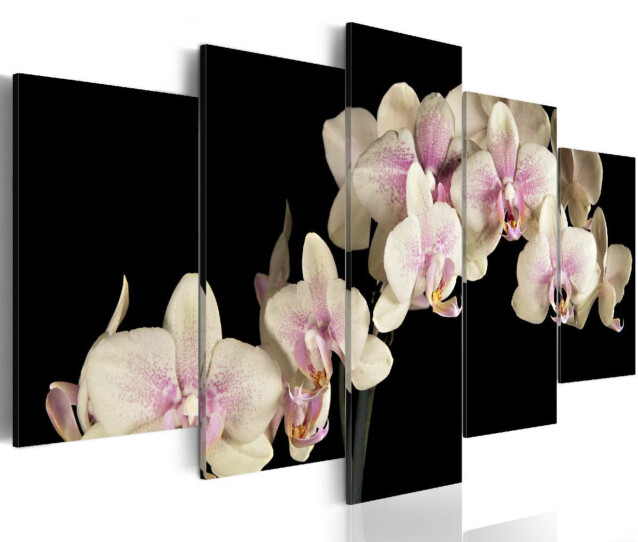 Taulu Artgeist An orchid on a contrasting background, eri kokoja