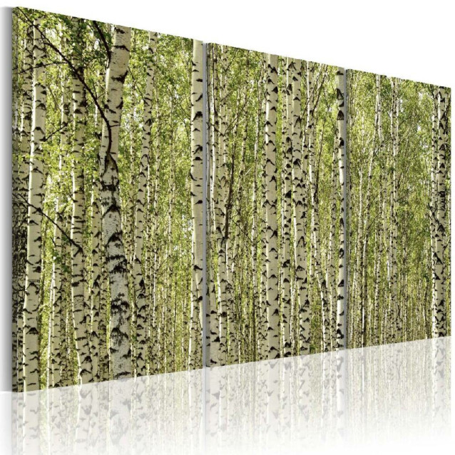 Taulu Artgeist A forest of birch trees, eri kokoja
