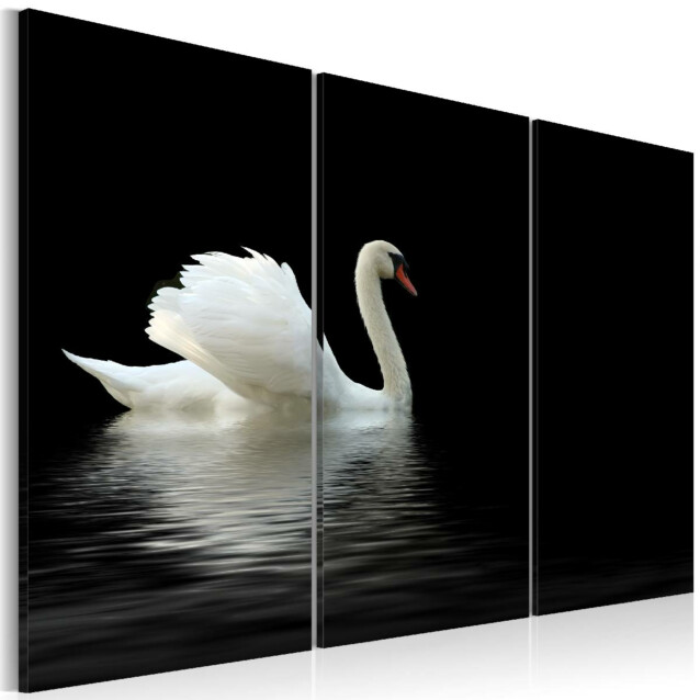 Taulu Artgeist A lonely white swan, eri kokoja