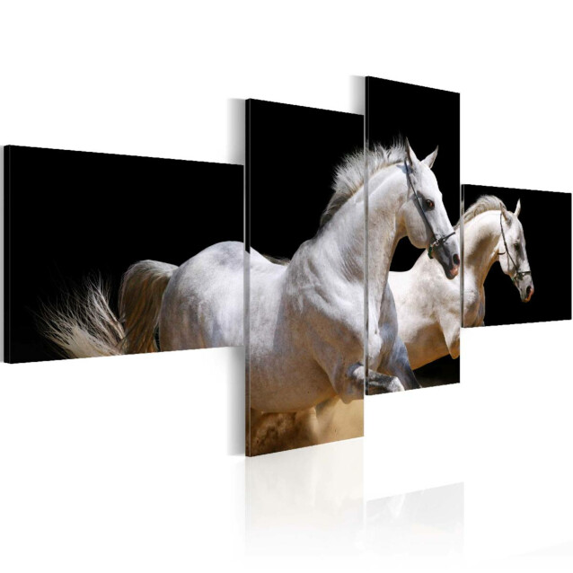 Taulu Artgeist Animal world- white horses galloping, eri kokoja