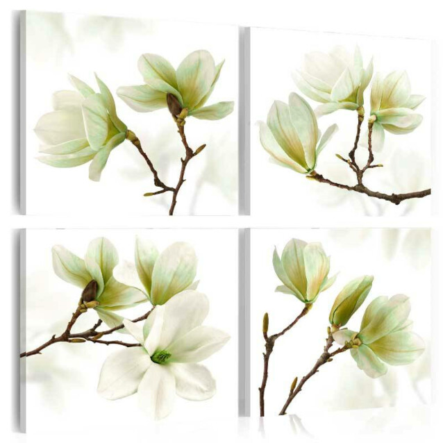 Taulu Artgeist Admiration of Magnolia, eri kokoja