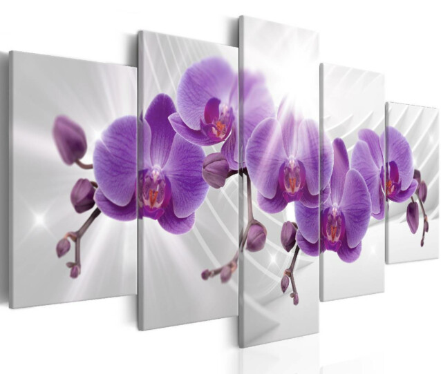 Taulu Artgeist Abstract Garden: Purple Orchis, eri kokoja