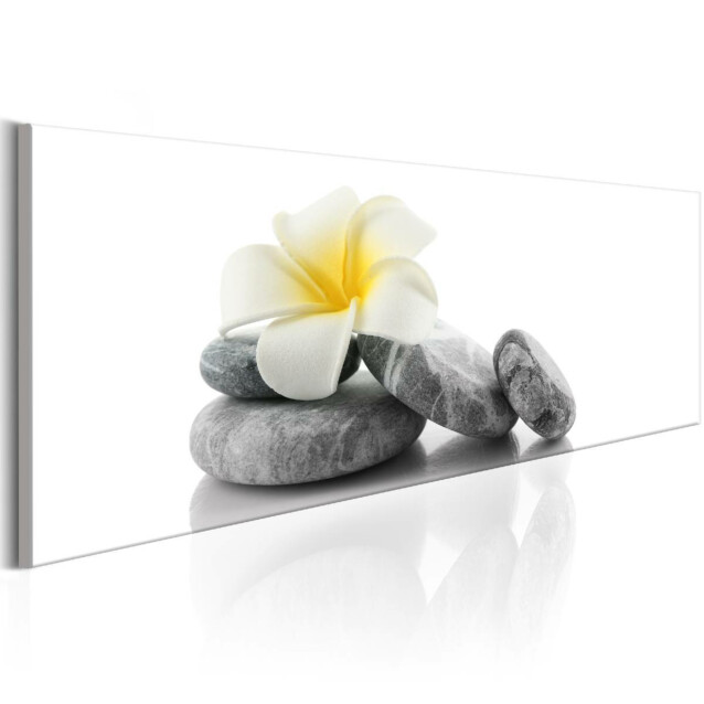 Taulu Artgeist White Lotus, eri kokoja