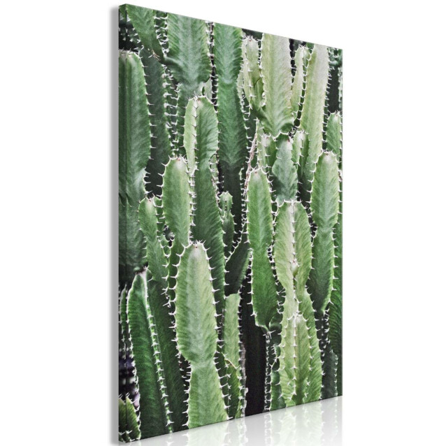 Taulu Artgeist Cactus Garden, 1-osainen, pystysuuntainen, eri kokoja