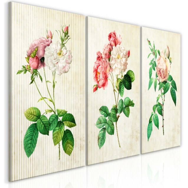 Taulu Artgeist Floral Trio Collection, eri kokoja