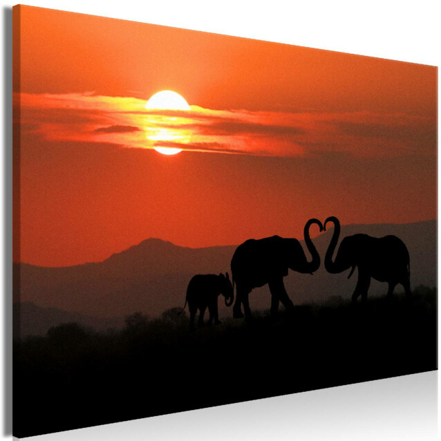 Taulu Artgeist Elephants in Love, 1-osainen, leveä, eri kokoja