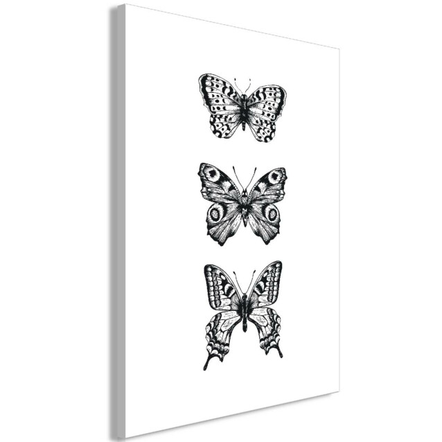 Taulu Artgeist Three Butterflies, 1-osainen, pystysuuntainen, eri kokoja