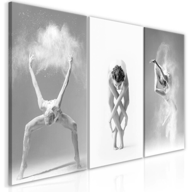 Taulu Artgeist Ballet Collection, eri kokoja