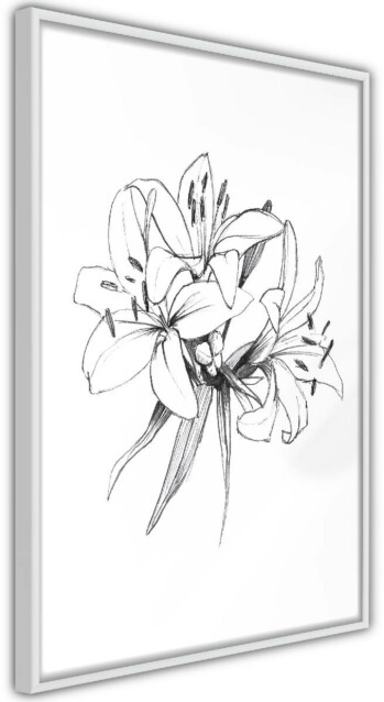 Juliste Artgeist Drawn Flowers, kehyskartongilla, kehyksillä, eri kokoja