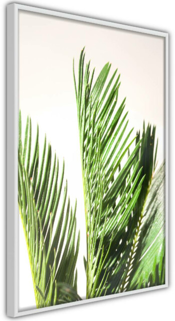 Juliste Artgeist Plant Detail, kehyskartongilla, kehyksillä, eri kokoja