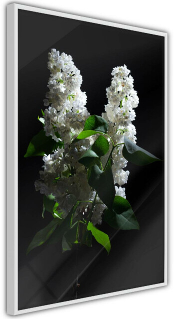 Juliste Artgeist Lilacs at Night, kehyskartongilla, kehyksillä, eri kokoja