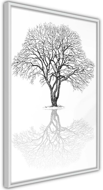 Juliste Artgeist Reflection Tree kehyksillä eri kokoja