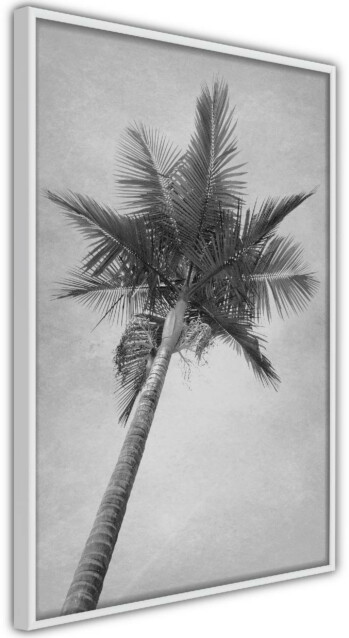 Juliste Artgeist High Palm Tree kehyksillä eri kokoja