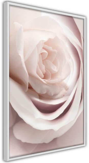 Juliste Artgeist Porcelain Rose kehyksillä eri kokoja