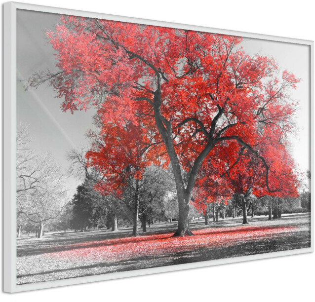 Juliste Artgeist Autumn in the Park punainen kehyksillä eri kokoja