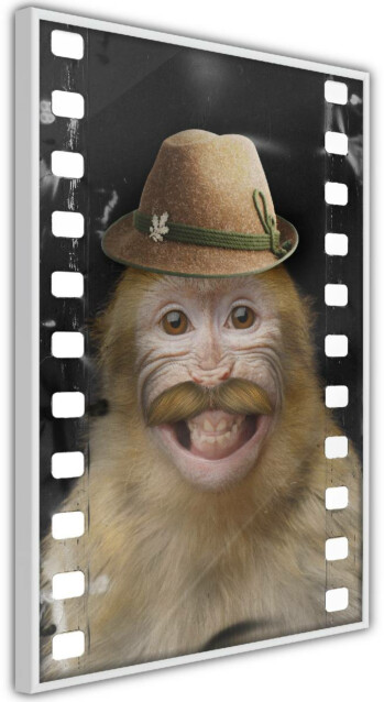 Juliste Artgeist Monkey In Hat, kehyskartongilla, kehyksillä, eri kokoja